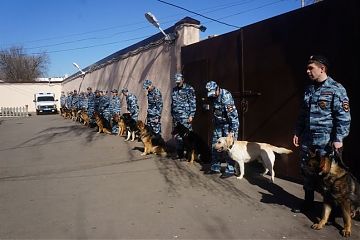 В Центре кинологической службы УВД по ЮВАО состоялась выводка собак