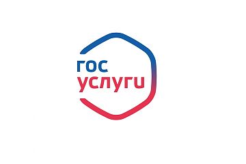 Полицейские Юго-Восточного округа напоминают гражданам о возможности замены паспорта РФ через портал Госуслуг