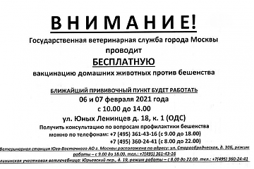 Бесплатная вакцинация против бешенства