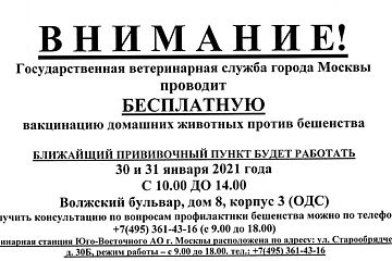 ВАКЦИНАЦИЯ ОТ БЕШЕНСТВА