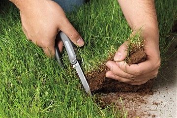 НАРУШИТЕЛЯ К ОТВЕТУ!