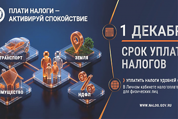 Что такое налоговое уведомление и как его исполнить