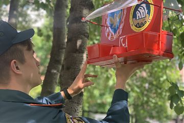 Конкурс на лучшую «Столовую для пернатых»