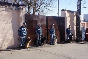 В Центре кинологической службы УВД по ЮВАО состоялась выводка собак