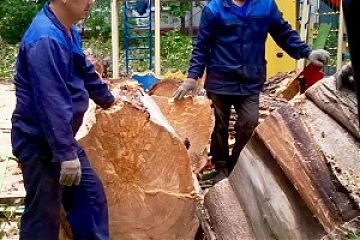 Работы по ликвидации последствий урагана