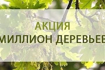 ГДЕ ИЗ «МИЛЛИОНА ДЕРЕВЬЕВ» ПОСАДИТЬ СВОЕ