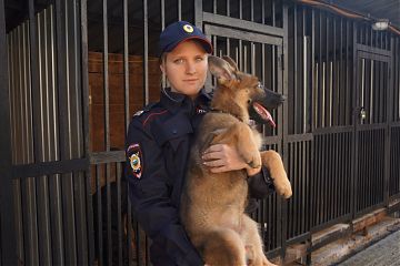 "НОВОБРАНЦЫ"