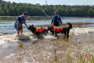 Столичные водоёмы под контролем профессионалов