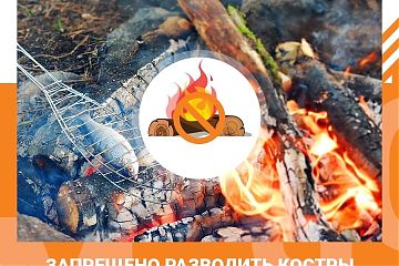 Правила безопасного поведения в лесопарковой зоне