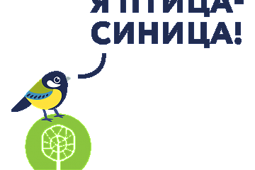 Акция «Птица-синица»