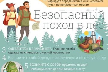 Безопасный поход в лес
