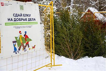 «Елочный круговорот – 2024»