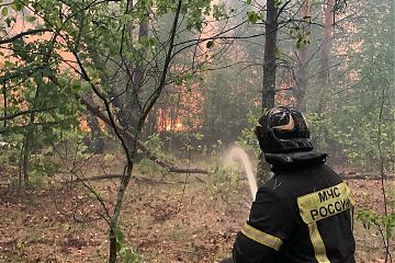 ЛИКВИДАЦИЯ ПРИРОДНОГО ПОЖАРА