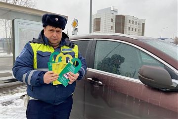 Сотрудники Госавтоинспекции ЮВАО провели профилактическую акцию «Безопасный двор»