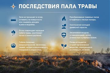 Последствия пала травы