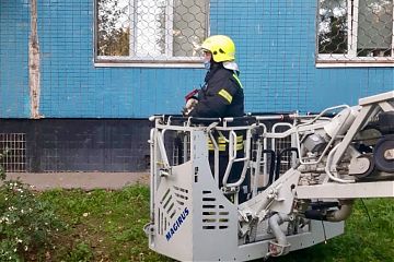 Московские пожарные спасли пушистую любительницу высоты