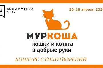 Конкурс «Стишок для Муркоши»