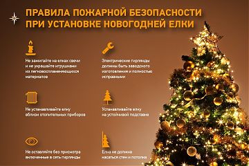 Меры безопасности при установке новогодней ели   
