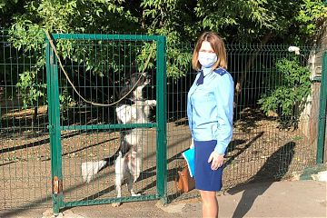 Проверка прокуратуры.
