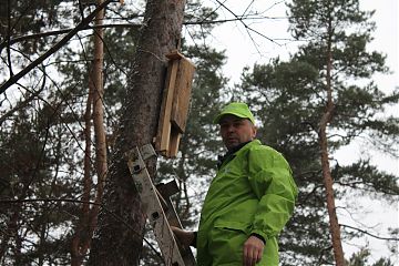 Мосприрода ввела в строй новое жилье и столовые для животных: мышам – домики, зайцам - кормушки