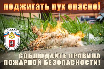 Тополиный пух - источник пожарной опасности и опасная "игрушка" для детей!