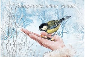 Экологи пригласили жителей ЮВАО принять участие в акции «Покормите птиц зимой»