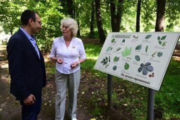 Москвичи обсуждают изменения правил покоса травы во дворах