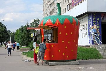 Сезон клубники стартовал в Москве