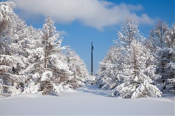 25 января в Музее Победы для студентов проведут бесплатные экскурсии