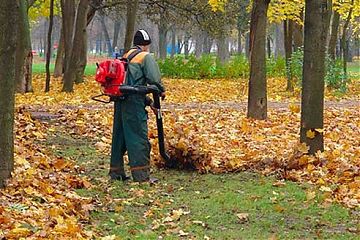 Регламент уборки листвы во дворах в руках жителей столицы