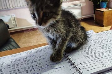 Пушистый сотрудник из 89 пожарной части