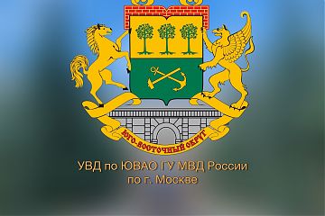 Сотрудники полиции Юго-Восточного округа Москвы установили подростка, совершившего на электросамокате наезд на школьницу