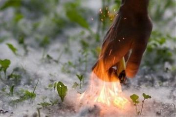 ТОПОЛИНЫЙ ПУХ – НАСТОЯЩИЙ БИЧ ГОРОДОВ В НАЧАЛЕ ЛЕТА