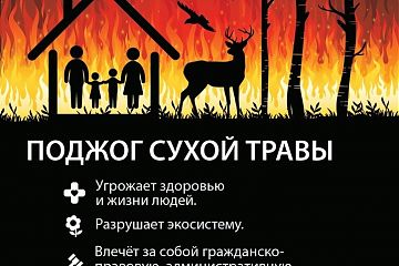 Опасность и последствия пала сухой травы